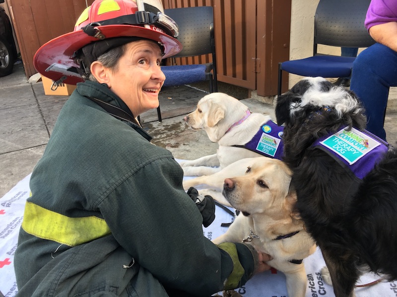 Fire Inspector Maria Sabatini